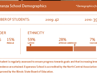Demographics, round 2 annual report infographics nonprofit
