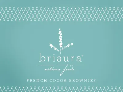 Briaura Artisan Foods blue brownies food logo natural organic script