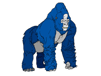 The 800 lbs gorilla in the room (Facebook) facebook sketch