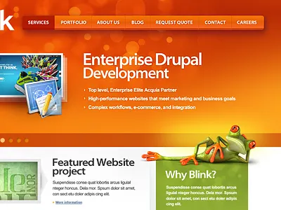Re:design 2.0 design frog orange web website