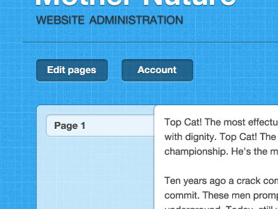Web Admin Panel admin client panel