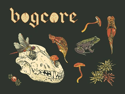 Bogcore aesthetic blackletter bog bogcore core cranberry dragonfly frog goth hand lettering illustration lily pad moss mushroom nature pitcher plant scientific skull toad wolf