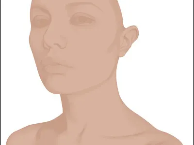 Female Vector Portrait WIP illustration illustrator tutorial vector wip