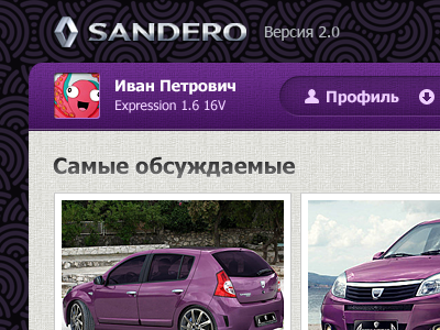 Social network network sandero site social web