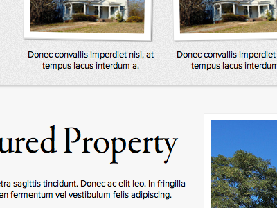 WProperty minimal property typekit wordpress