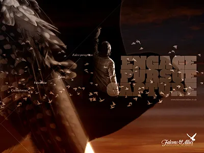 F&A Wallpaper - Right birds illustration photoshop falcons allies