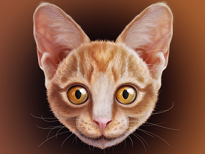 Cat Face icon illustration