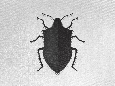 Shield Beetle beetle black shield white