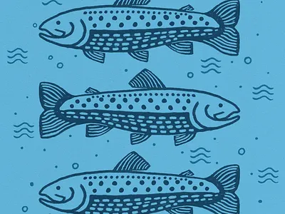 Fish design fish hand drawn illustration nature outdoors river trout water