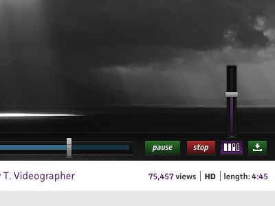 Video Controls button controls player slider video