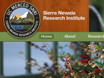 SNRI Menu home menu nature nav navbar pattern texture ui