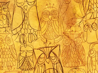 Owls art