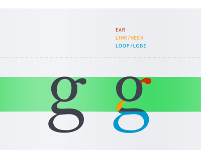 Typography Anatomy Blog Post anatomy glossary typography