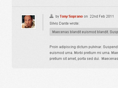 Blog comments for Swatch WordPress theme blog comments psd template wordpress theme