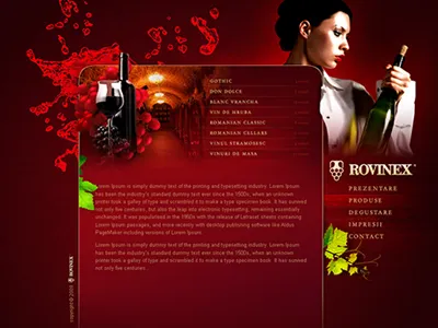 Rovinex design web design website
