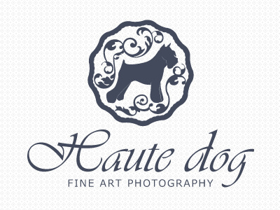 Logo Haute Dog branding dog identity logo pet photography