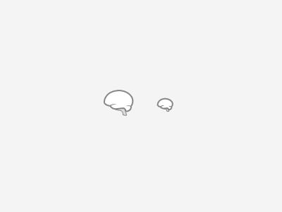 Braaains icon tool:photoshop