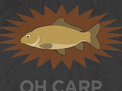 Ohcarp carp texture