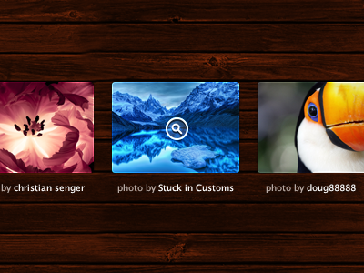 Photo Grid 365psd freebie