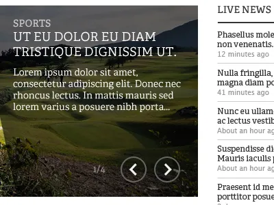 Slideshow arrows buttons news slideshow