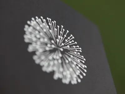 Img 1223 fireworks logo symbol