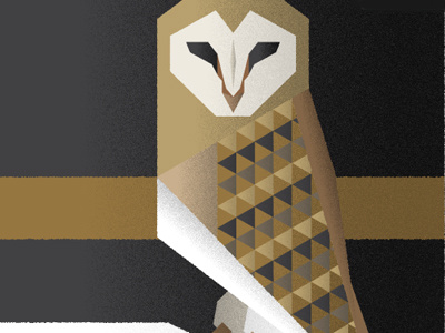 Barn Owl 365 animals brown owl vector