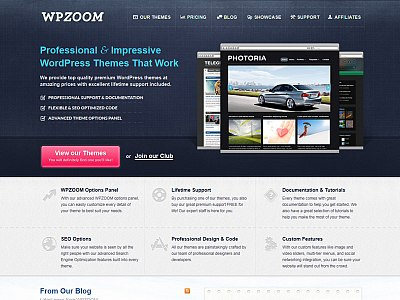 New WPZOOM blue pink themes wordpress wpzoo