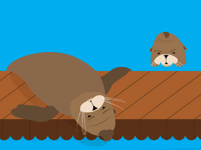 Seals illustration san francisco sea lions wharf