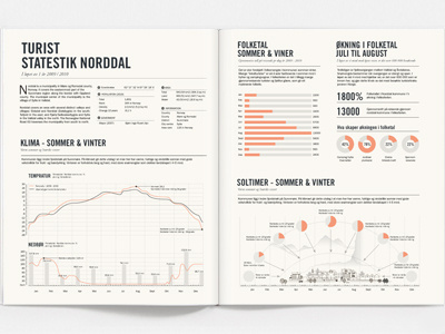 Tourist Infographics illustration infographics print