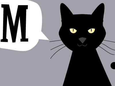 Missy, the mysterious and the mischievous. cat meow mischievous misfit missy mysterious