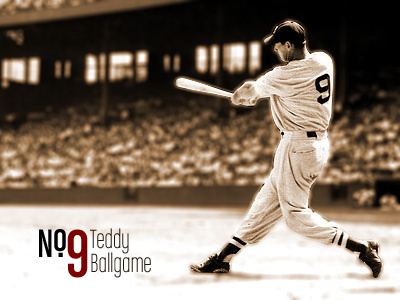 Teddy Ballgame baseball red sox