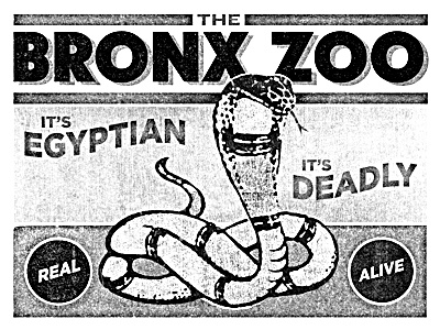 The Bronx Zoo