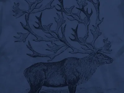 elk clothing collage illustration tee shirt