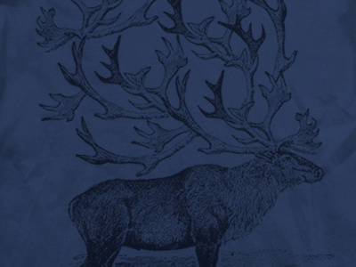 elk clothing collage illustration tee shirt