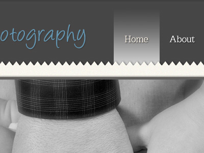 Photo website blue gray home photo photography website