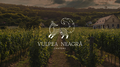 Vulpea Neagră - Logo Design & Branding adobe illustrator branding design graphic design ill illustration logo vector