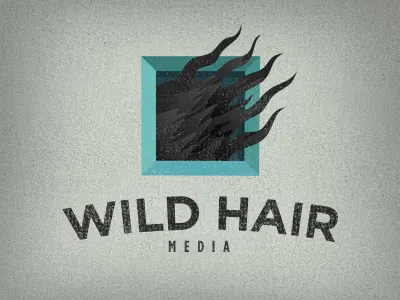 Wild Hair Media black blue box brand frame gotham grunge hair logo vintage