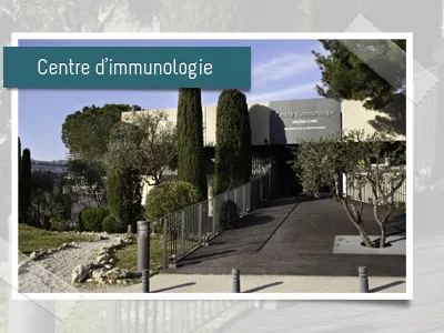 Scotch it layout picture scotch shadow