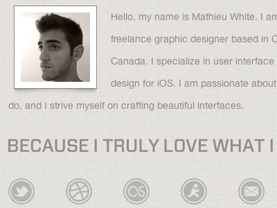 mathieuwhite.com spring 2011 about icons mathieu social web white