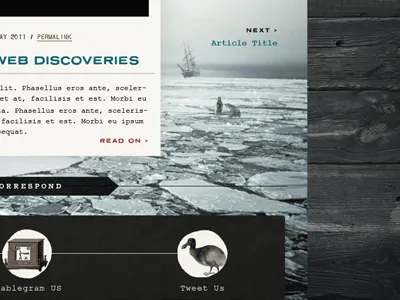 SS Site 5 animals collage contact texture wood