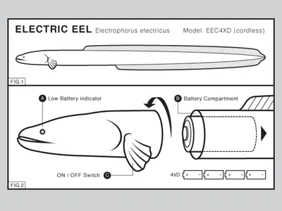 Batteries not Included eel electric glennz illustrator instructions vector