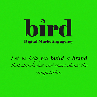 Social Media Design | Bird Agency branding graphic design logo motion graphics