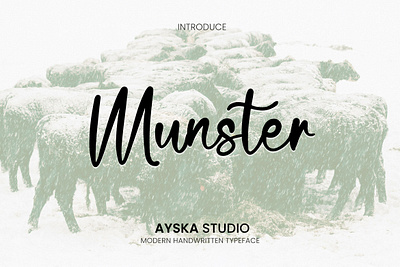 Munster Font handwritten