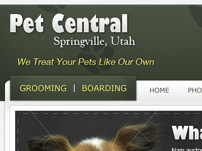 Pet Central Header and Navigation animals boarding enlarged green grooming navigation pet yellow