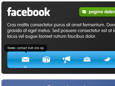 Facebook Page Navigation facebook glossy navigation pictos