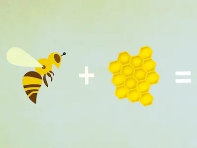 Bees + Hive bees nature