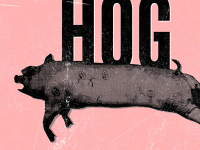 Filipino Box Spring Hog 12by30 illustration tom waits