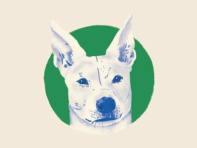 Is this another pet portrait? Yaaaaas 💗 animallover art dog dogillustration dogs illustration petlover pets whitedog