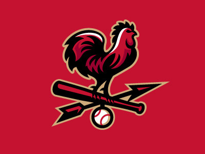 Barnstormers1 baseball rooster sports