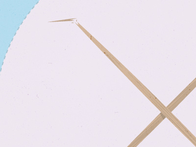Toothpick detail